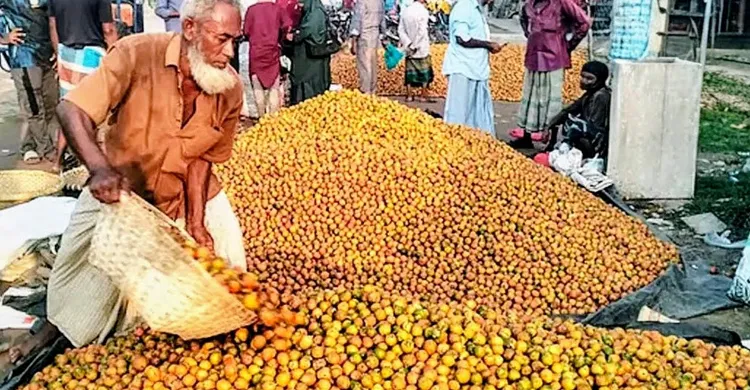 লক্ষ্মীপুর জেলায় ৭১০ কোটি টাকার সুপারি, দিনে শ্রমিকের আয় আড়াই হাজার