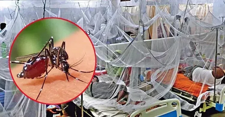 ডেঙ্গুতে আরো ৫ জনের মৃত্যু