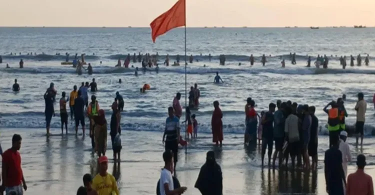 ছবিঃ সংগৃহীত