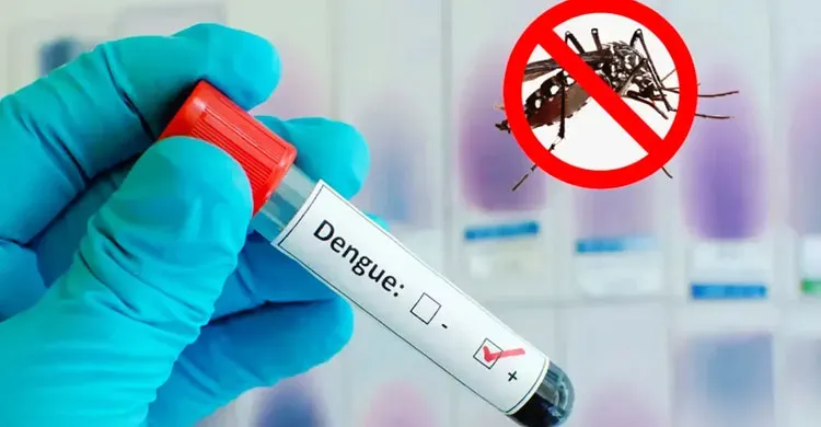 ডেঙ্গুতে আরও ৪ মৃত্যু, হাসপাতালে ভর্তি ১৫১২