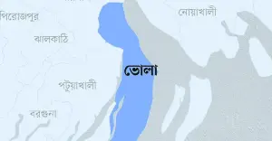 বাবাকে বাঁচাতে গিয়ে প্রাণ গেল দুই ছেলের