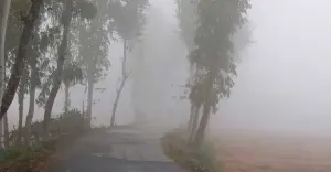বাড়ছে শীতের আমেজ, তাপমাত্রা নামল ১৭ ডিগ্রিতে