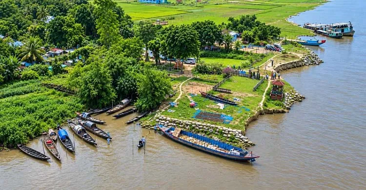 উপকূল সুরক্ষায় কলাপাড়ার নতুন চরে বন বিভাগের বনায়ন