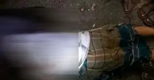 শেরপুরে বাস ও সিএনজি সংঘর্ষে প্রবাসী নিহত, আহত ৪