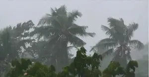 আট বিভাগেই বজ্রবৃষ্টির আভাস, কমতে পারে তাপমাত্রা