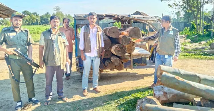 চুনারুঘাটে ‘স’ মিলে অভিযান: প্রায় সাড়ে ৩৪ ঘনফুট অবৈধ কাঠ জব্দ