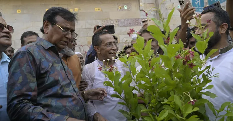 নিউ মার্কেটের ফুটপাত দখলমুক্ত করে গাছ লাগালো ডিএসসিসি